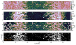 Spectral resolution effects on the information content in solar spectra